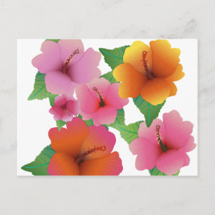 Tropische Blume exotischer Hibiskus Postkarte