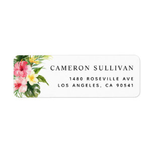 Tropische Blume im Wasser und Sommer im Grünen