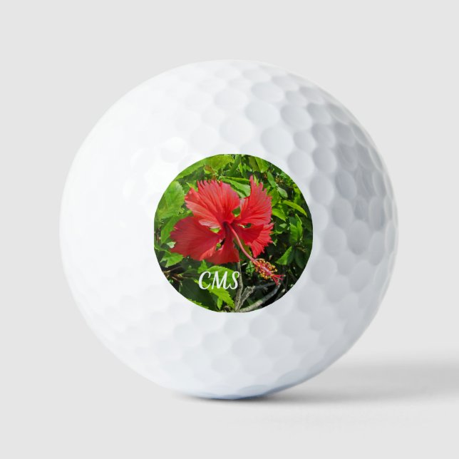 Tropische Blume-Initialen Hellrosa-Insel Golfball (Vorderseite)