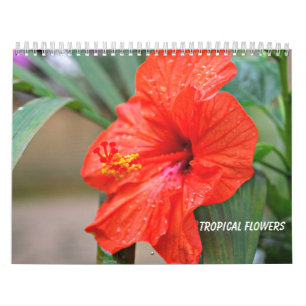 Tropische Blume Kalender