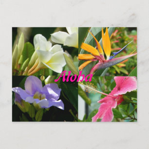 Tropische Blume Kauai Hawaii Postkarte