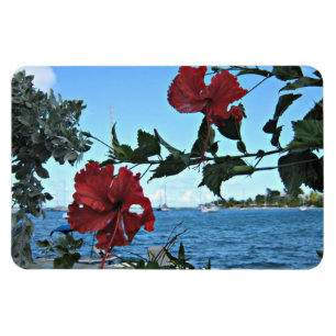 Tropische Blume Magnet