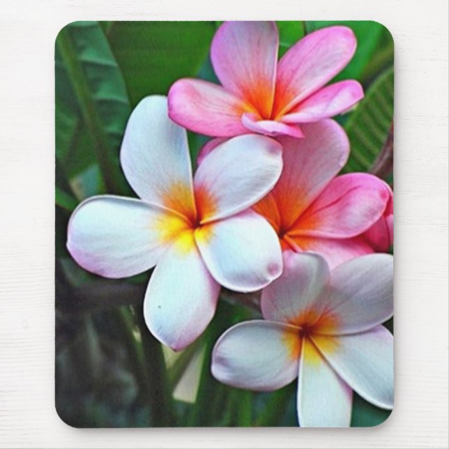 Tropische Blume Mousepad (Vorne)