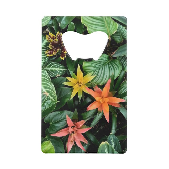 Tropische Blume, orange, gelb und rot Geldbeutel Flaschenöffner (Vorderseite)