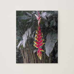 Tropische Blume Puzzle