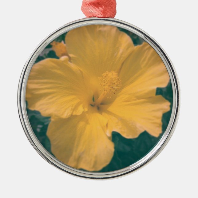 Tropische Blume Silbernes Ornament (Vorne)