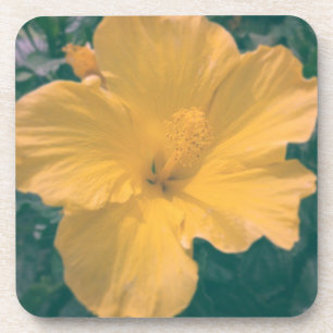 Tropische Blume Untersetzer