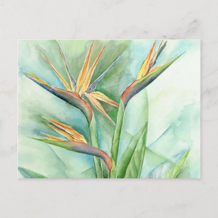 Tropische Blume-Vogel der Paradiesmalerei - mehrer Postkarte