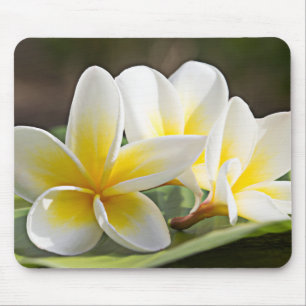 Tropische Blumen-Mausunterlage Mousepad