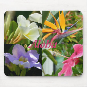 Tropische Blumen von HibiskusPlumeria Kauais Mousepad