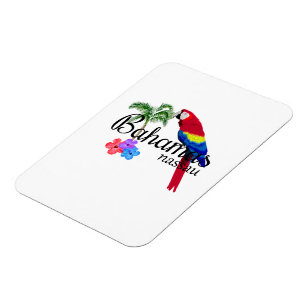 Tropische Destination Nassau Bahamas Magnet