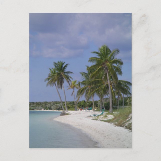 Tropische Einstellungen Postkarte (Vorderseite)