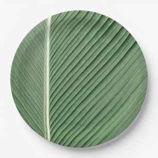 Tropische Eleganz - Coconut-Leaf-Designpapierplatt Pappteller