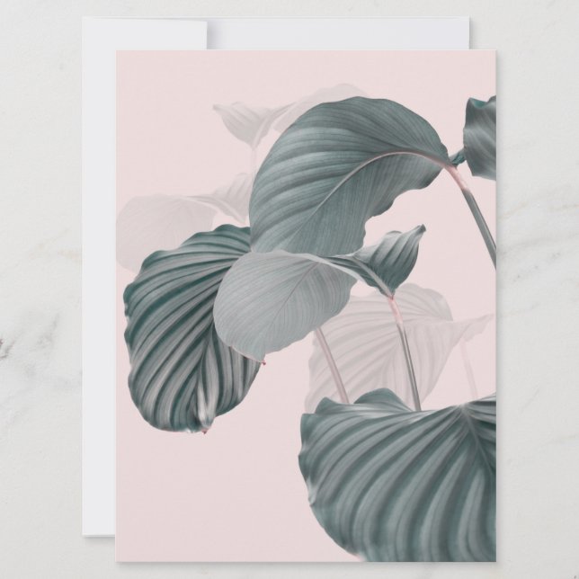 Tropische Eleganz in Pastel (Vorderseite)