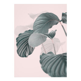 Tropische Eleganz in Pastel Fotodruck