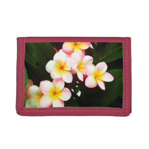 Tropische exotische Frangipani-Blume Tri-fold Geldbeutel