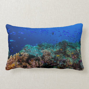 Tropische Fische auf dem Great Barrier Reef Lendenkissen