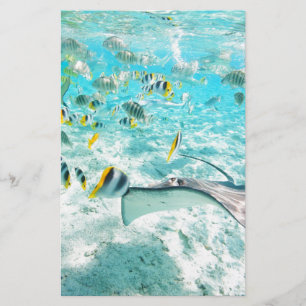 Tropische Fische Briefpapier