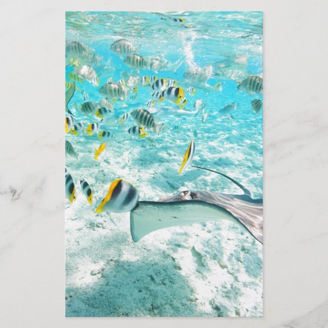 Tropische Fische Briefpapier (Vorderseite)