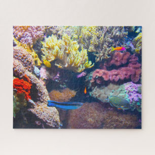 Tropische Fische in einem Aquarium. Puzzle