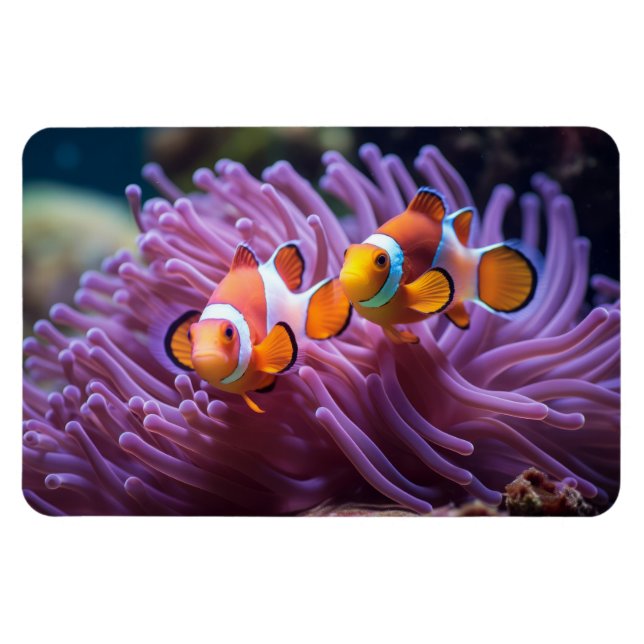 Tropische Fische  Magnet (Horizontal)