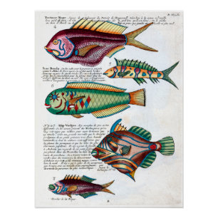 Tropische Fische Poster