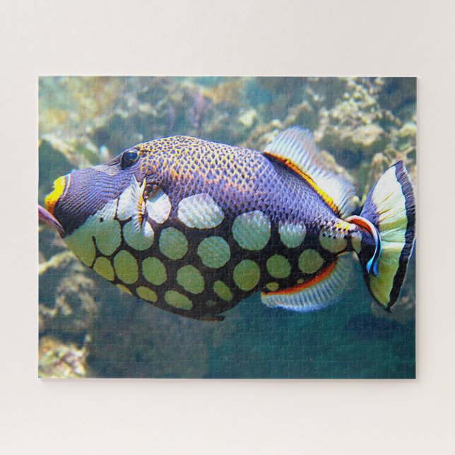 Tropische Fische Puzzle (Horizontal)