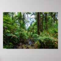 Tropische Flora des belebten Regenwaldes