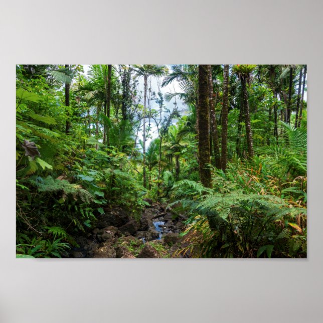 Tropische Flora des belebten Regenwaldes Poster (Vorne)