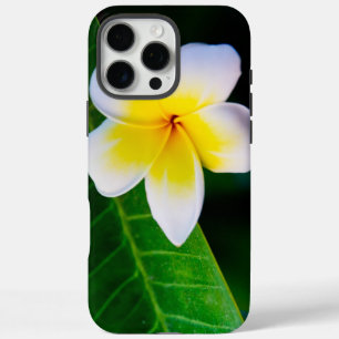 Tropische Frangipani-Botanik-Foto iPhone 16 Pro Max Hülle
