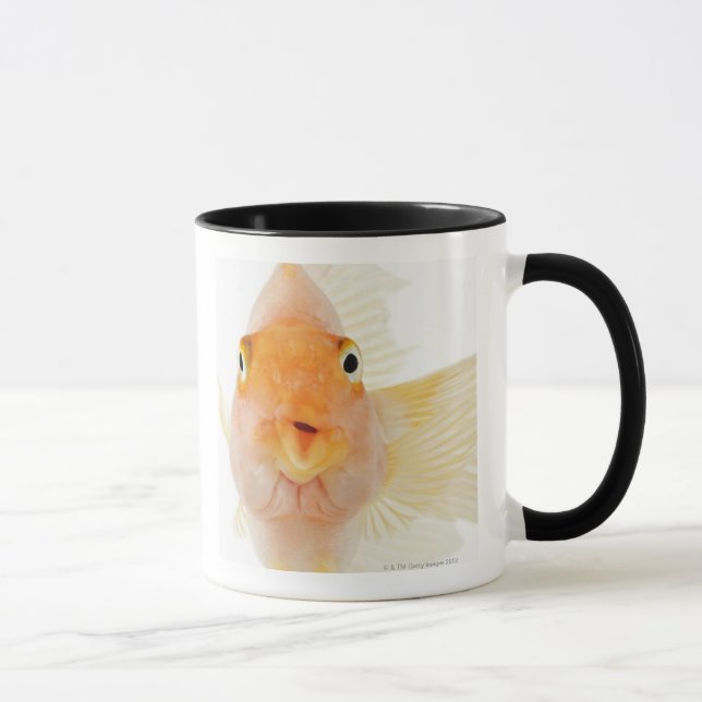 Tropische Frischwasserfische Tasse (Rechts)