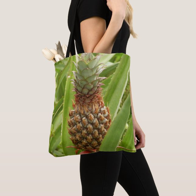 Tropische Früchte der Ananas in der Natur (Von Nahem)