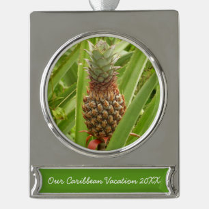 Tropische Früchte der Ananas in der Natur Banner-Ornament Silber