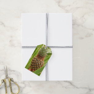 Tropische Früchte der Ananas in der Natur Geschenkanhänger