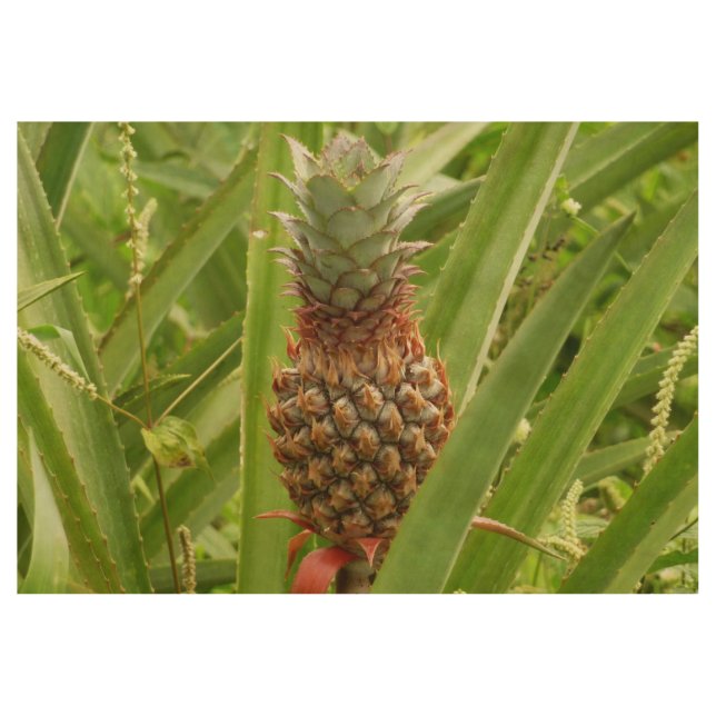 Tropische Früchte der Ananas in der Natur Holzposter (Vorderseite)