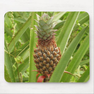 Tropische Früchte der Ananas in der Natur Mousepad