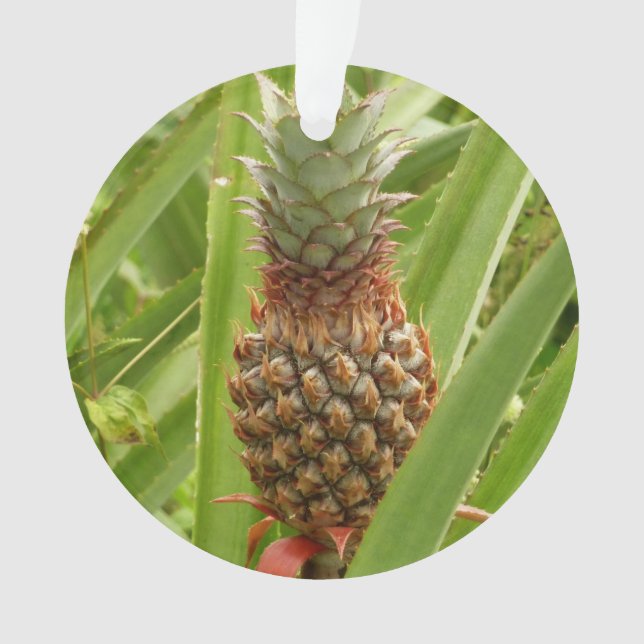 Tropische Früchte der Ananas in der Natur Ornament (Vorderseite)