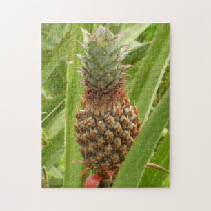 Tropische Früchte der Ananas in der Natur Puzzle