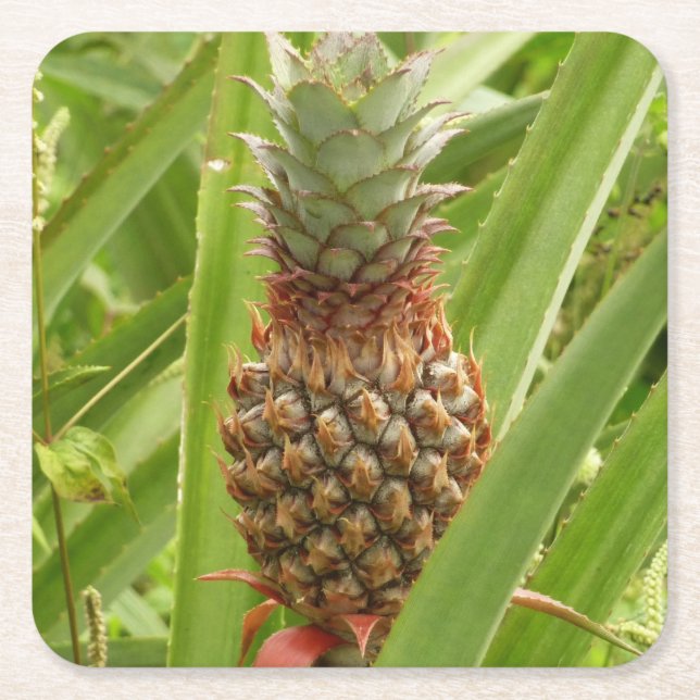 Tropische Früchte der Ananas in der Natur Rechteckiger Pappuntersetzer (Vorderseite)