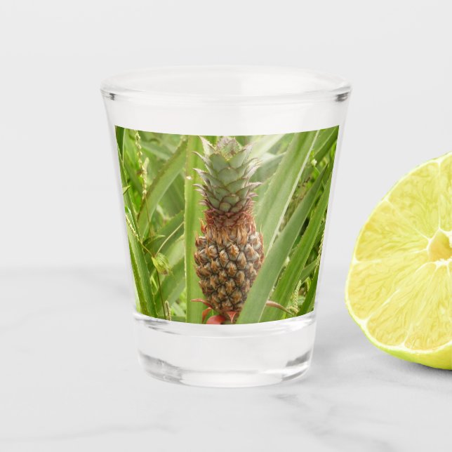 Tropische Früchte der Ananas in der Natur Schnapsglas (Vorderseite)