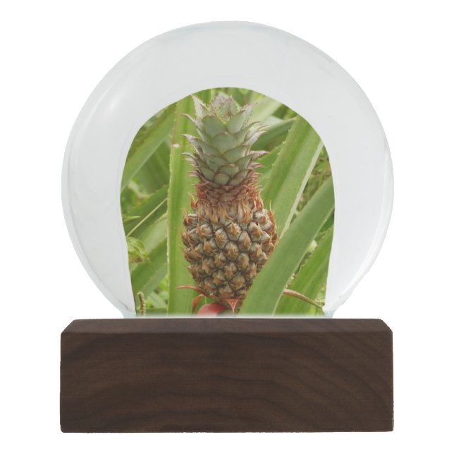 Tropische Früchte der Ananas in der Natur Schneekugel (Vorderseite)
