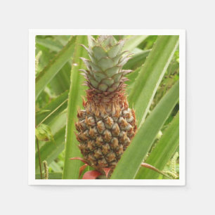 Tropische Früchte der Ananas in der Natur Serviette