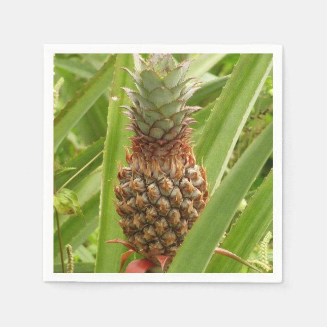 Tropische Früchte der Ananas in der Natur Serviette (Vorderseite)