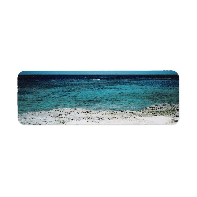 Tropische Gaze (Vorne)