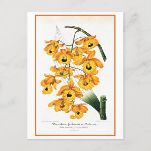 Tropische gelbe Orchideen-Illustration Postkarte