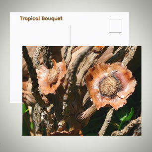 Tropische getrocknete Kokosblüten Floral Postkarte