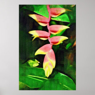 Tropische Heliconia - Hummerschlacht Poster