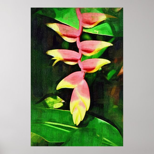 Tropische Heliconia - Hummerschlacht Poster (Vorne)