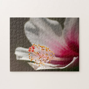 Tropische Hibiskus-Blumenfotografie Puzzle