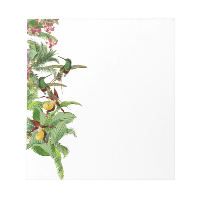 Tropische Hummingbird Orchid-Blume Notepad Notizblock (Vorderseite)